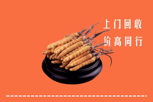 高价求购：徐州铜山区回收散虫草
