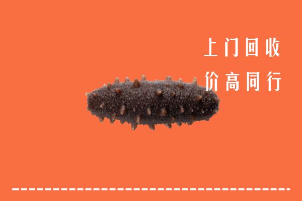 高价求购：徐州铜山区回收海参