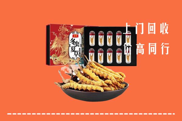 徐州铜山区回收虫草